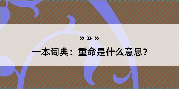 一本词典：重命是什么意思？