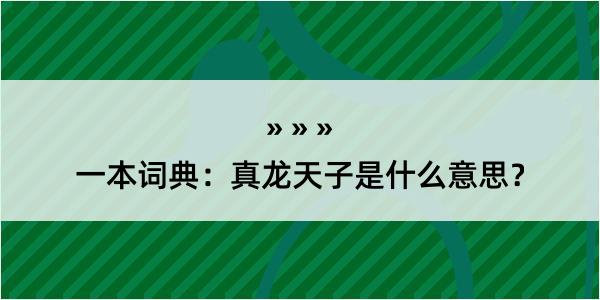 一本词典：真龙天子是什么意思？