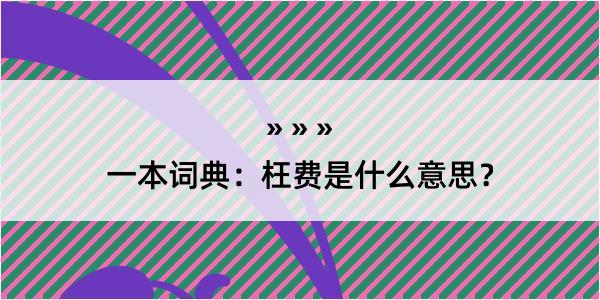 一本词典：枉费是什么意思？