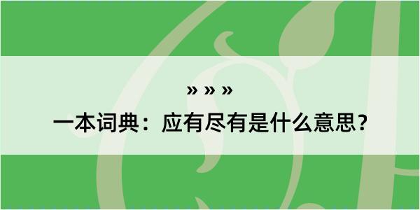 一本词典：应有尽有是什么意思？