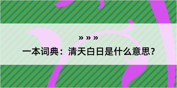 一本词典：清天白日是什么意思？