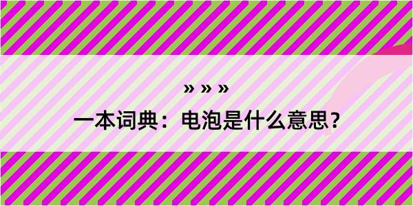 一本词典：电泡是什么意思？