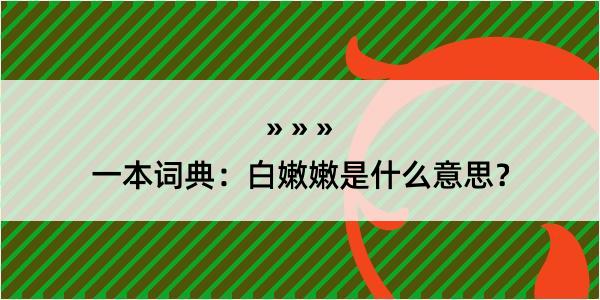 一本词典：白嫩嫩是什么意思？