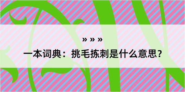 一本词典：挑毛拣刺是什么意思？