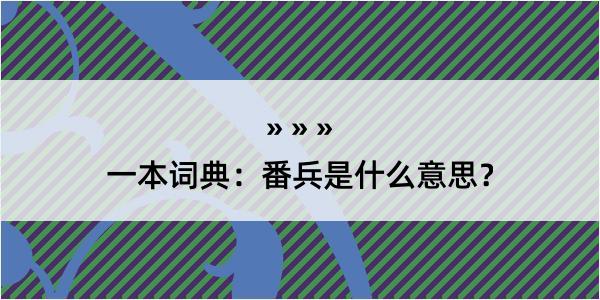 一本词典：番兵是什么意思？