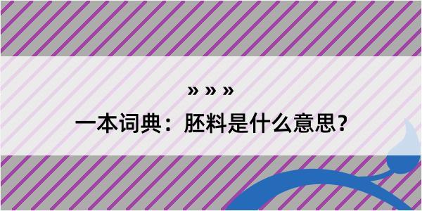 一本词典：胚料是什么意思？