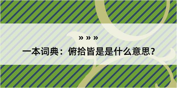 一本词典：俯拾皆是是什么意思？