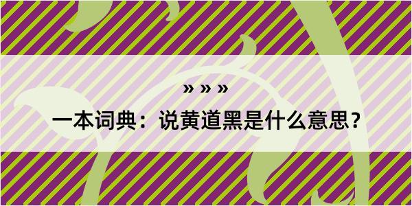 一本词典：说黄道黑是什么意思？