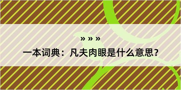 一本词典：凡夫肉眼是什么意思？