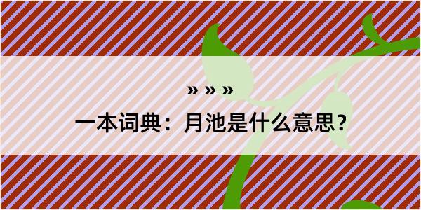 一本词典：月池是什么意思？