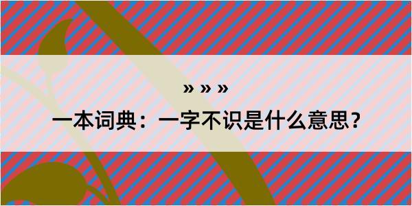 一本词典：一字不识是什么意思？