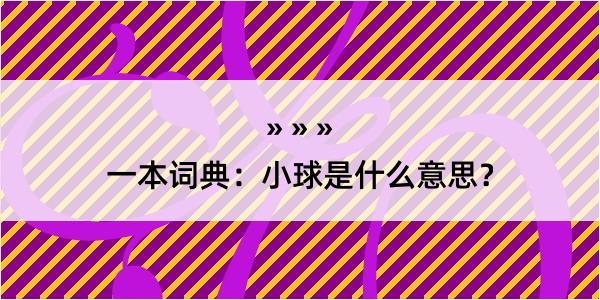 一本词典：小球是什么意思？