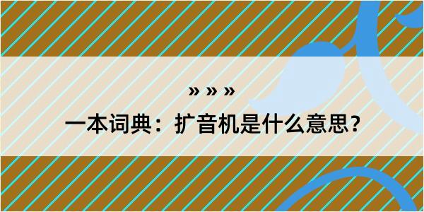 一本词典：扩音机是什么意思？