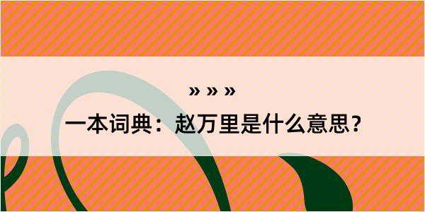 一本词典：赵万里是什么意思？