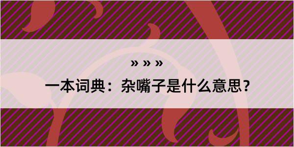 一本词典：杂嘴子是什么意思？