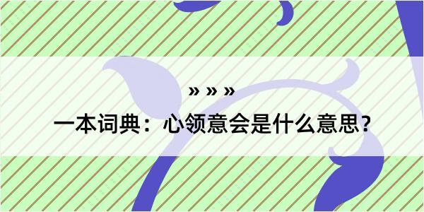 一本词典：心领意会是什么意思？