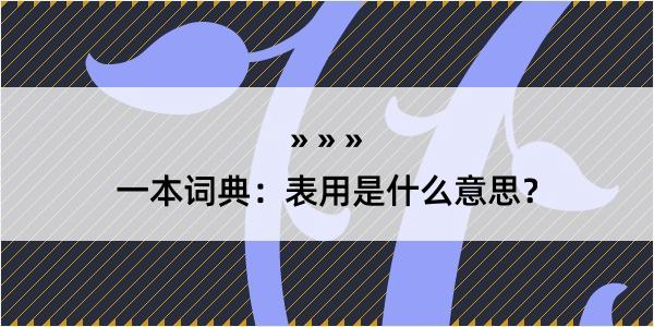 一本词典：表用是什么意思？