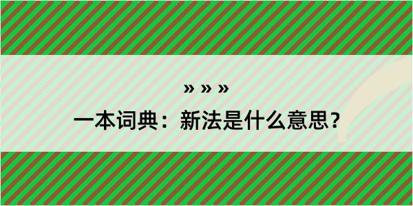 一本词典：新法是什么意思？