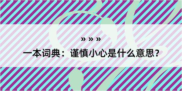 一本词典：谨慎小心是什么意思？