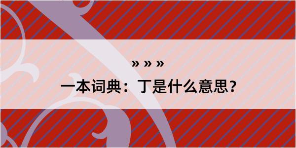 一本词典：丁是什么意思？