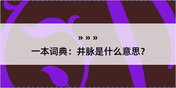 一本词典：井脉是什么意思？