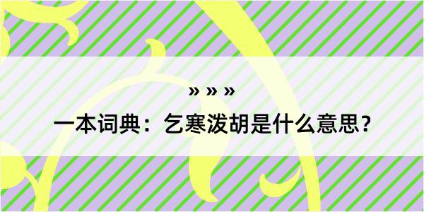 一本词典：乞寒泼胡是什么意思？