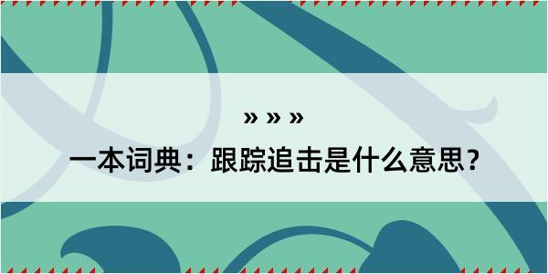 一本词典：跟踪追击是什么意思？