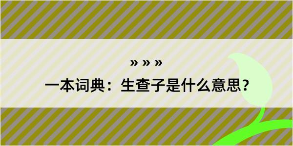 一本词典：生查子是什么意思？