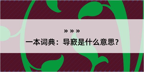 一本词典：导窾是什么意思？