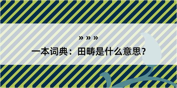 一本词典：田畴是什么意思？