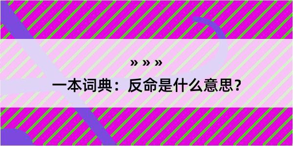 一本词典：反命是什么意思？