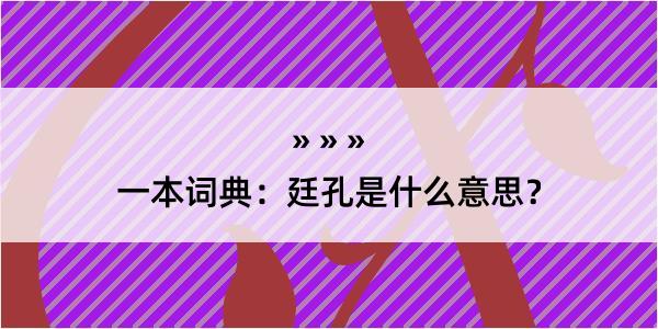 一本词典：廷孔是什么意思？