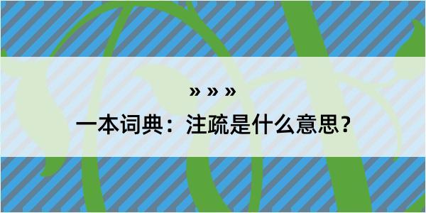 一本词典：注疏是什么意思？