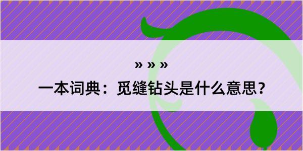 一本词典：觅缝钻头是什么意思？