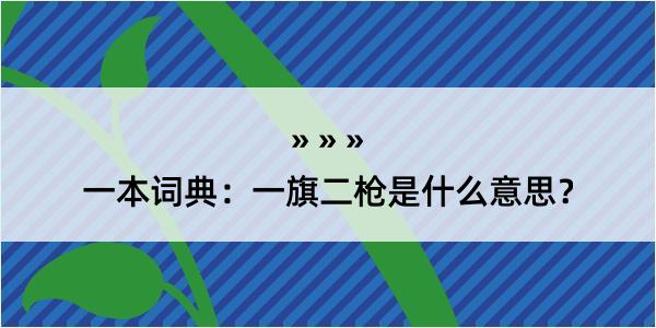 一本词典：一旗二枪是什么意思？