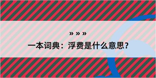 一本词典：浮费是什么意思？