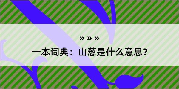 一本词典：山葱是什么意思？