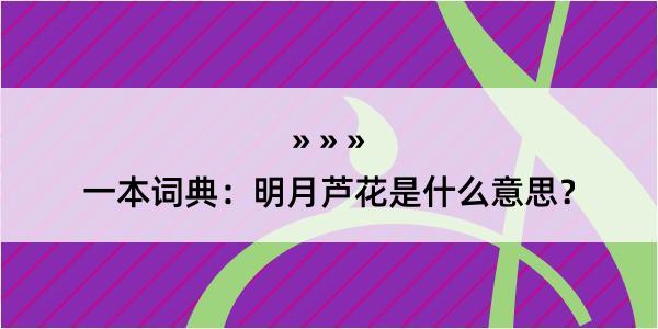 一本词典：明月芦花是什么意思？