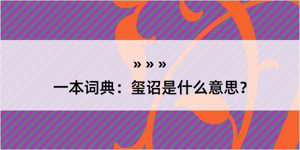 一本词典：玺诏是什么意思？