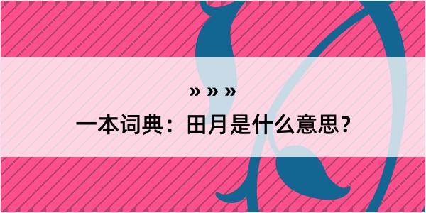 一本词典：田月是什么意思？