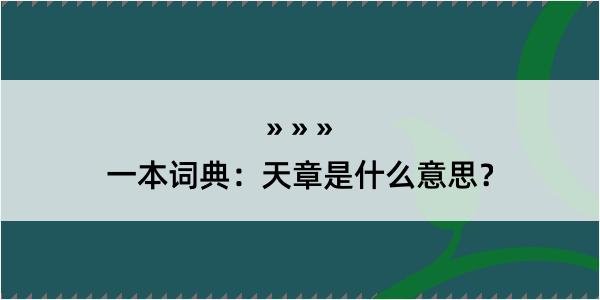 一本词典：天章是什么意思？