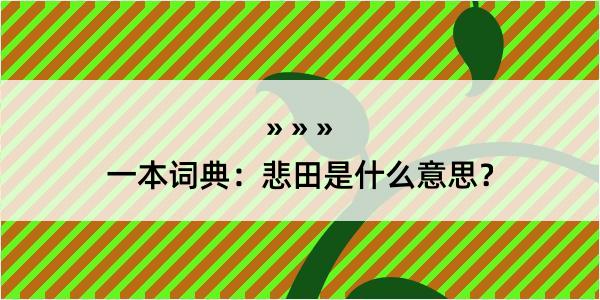 一本词典：悲田是什么意思？