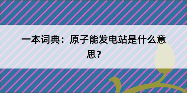 一本词典：原子能发电站是什么意思？