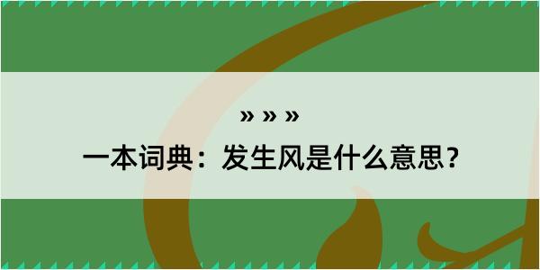 一本词典：发生风是什么意思？