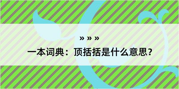 一本词典：顶括括是什么意思？