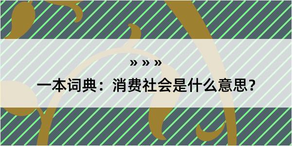 一本词典：消费社会是什么意思？