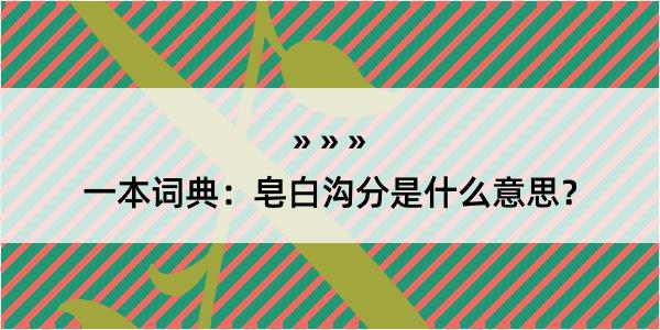 一本词典：皂白沟分是什么意思？