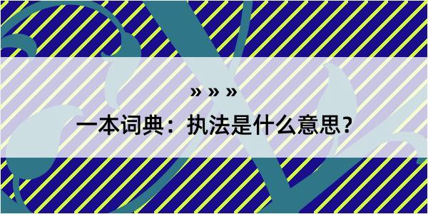 一本词典：执法是什么意思？