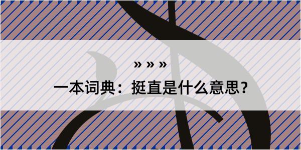 一本词典：挺直是什么意思？