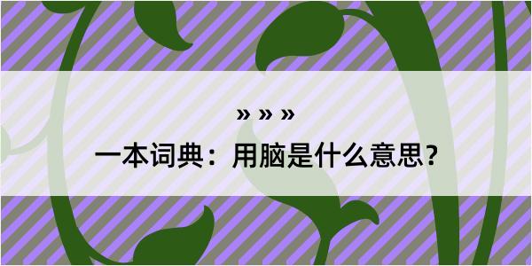 一本词典：用脑是什么意思？